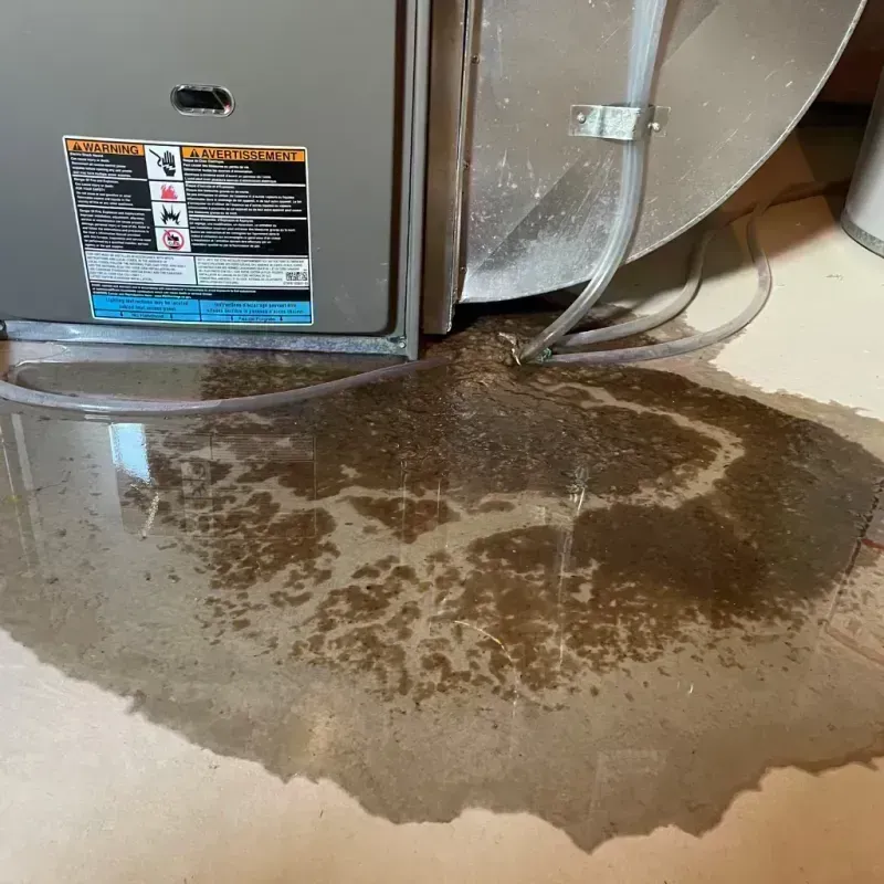 Appliance Leak Cleanup in Saint Peters, MO